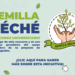 SEMILLA SÉCHÉ “Fondos Concursables para Financiamiento en la Elaboración de Tesis de Pregrado 2023”
